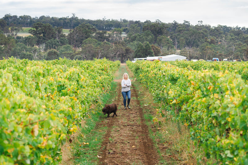 A Place We Chose: Creating Wine in Australia's Most Isolated Wine Region