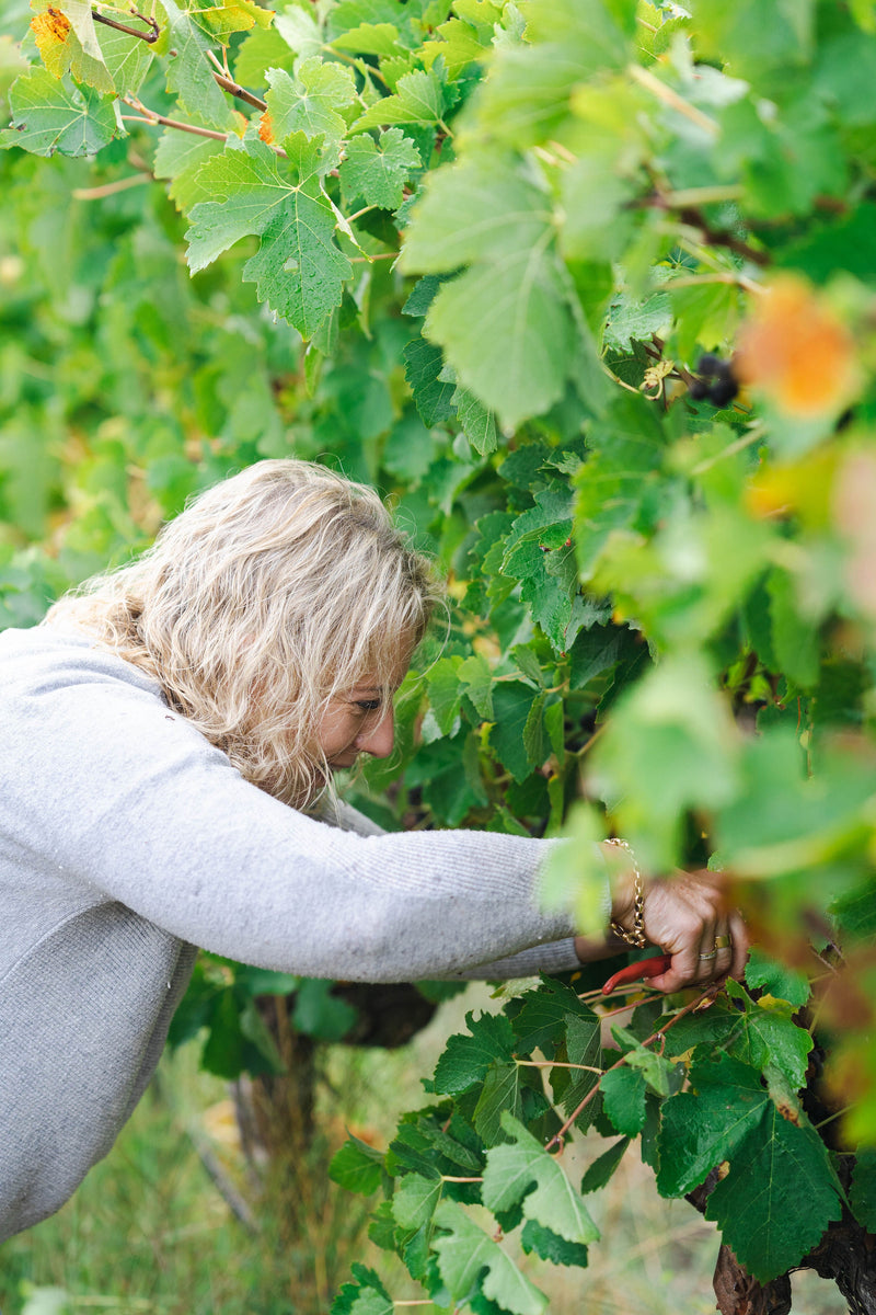 A Place We Chose: Creating Wine in Australia's Most Isolated Wine Region